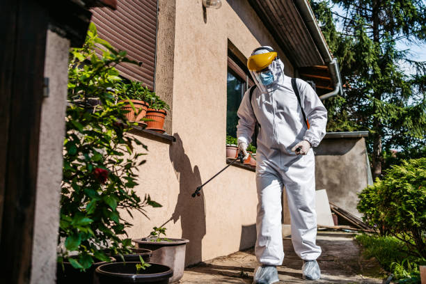 Trusted Arbutus, MD Pest Control Experts